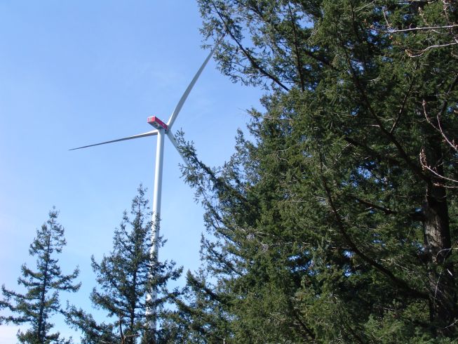 (c) Ak Wasser im BBU. Windkraftanlagen im Wald sind ohne Zweifel mit Eingriffen in die Natur- und Wasserressourcen verbunden. Streiten kann man sich aber, wie relevant diese Eingriffe im Vergleich zu anderen Natur- und Wasserschädigungen im Wald sind - was uns aber sofort den Vorwurf des "Whatsaboutism" seitens der WindkraftgegnerInnen einbringt.